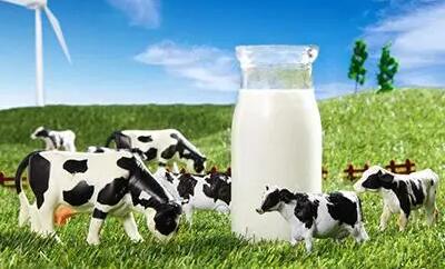 荷兰奶业质量追溯模式将在中国推广