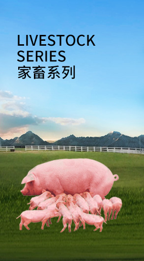 家畜久发体育(中国)有限公司官网